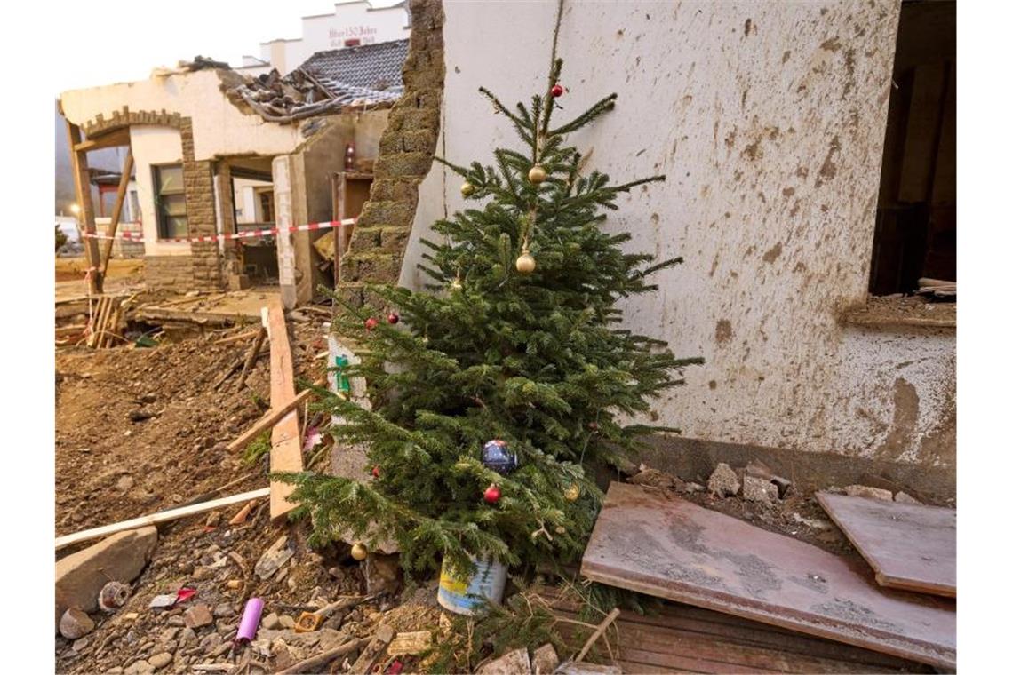 Ein Weihnachtsbaum steht vor einem von der Flut zerstörten Haus in Mayschoß. Foto: Thomas Frey/dpa