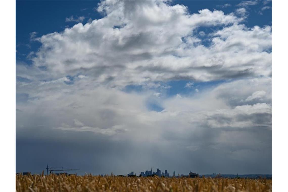 Ein Weizenfeld bei Bad Soden im Taunus leuchtet im Sonnenschein, während Regenwolken über der Skyline von Frankfurt am Main hinwegziehen. Foto: Arne Dedert/dpa