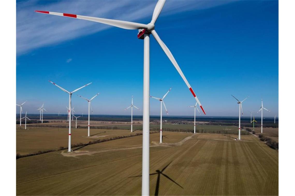 Ein Windpark. Foto: Patrick Pleul/dpa-Zentralbild/dpa