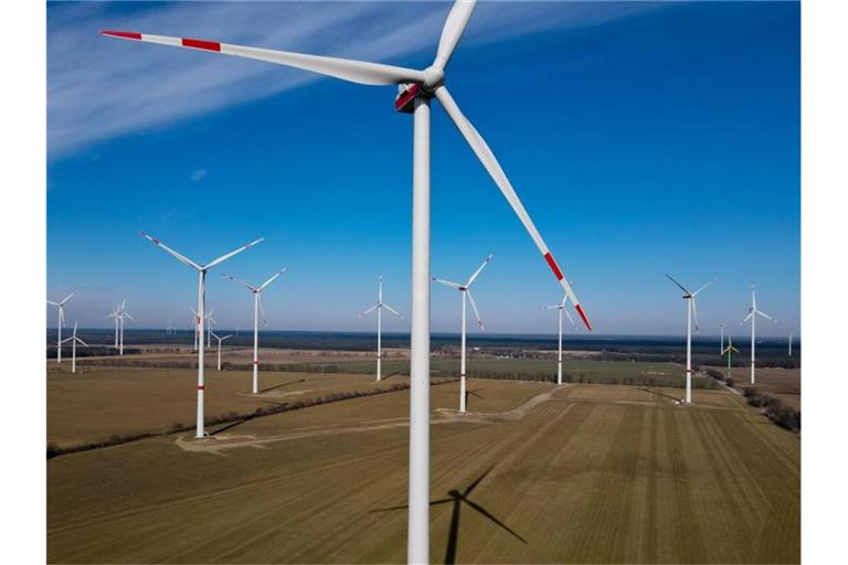 Ein Windpark. Foto: Patrick Pleul/dpa-Zentralbild/dpa