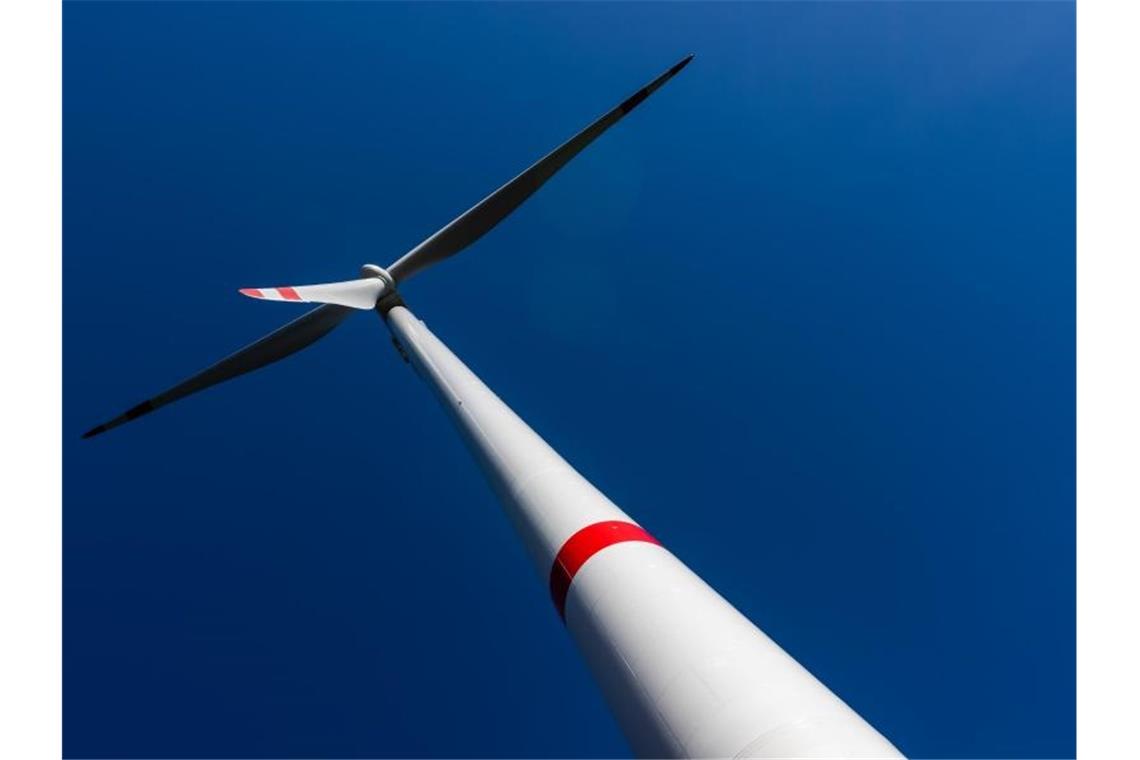 Naturschützer: Kein Windkraft-Ausbau ohne Artenschutz Ein Windrad eines Windparks. Foto: Philipp von Ditfurth/dpa