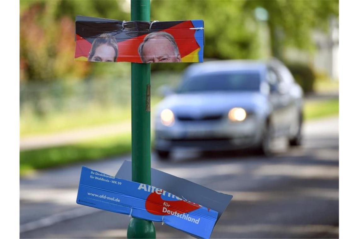 Ein zerstörtes Wahlplakat der AfD. Foto: Patrick Pleul