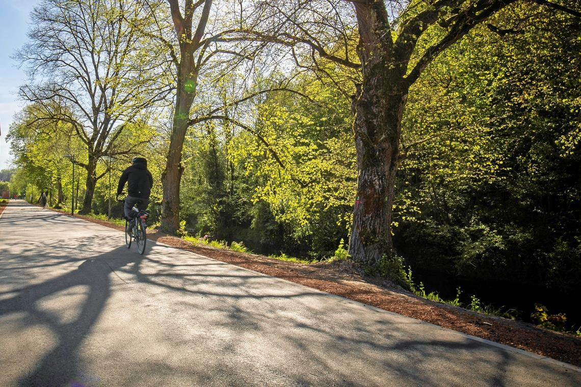 Ein Ziel des Stadtradelns ist es, das Fahrrad als Alltagsverkehrsmittel anzusehen. Das Radwegenetz wird ständig verbessert, bald auch in der Sulzbacher Straße. Foto: Alexander Becher