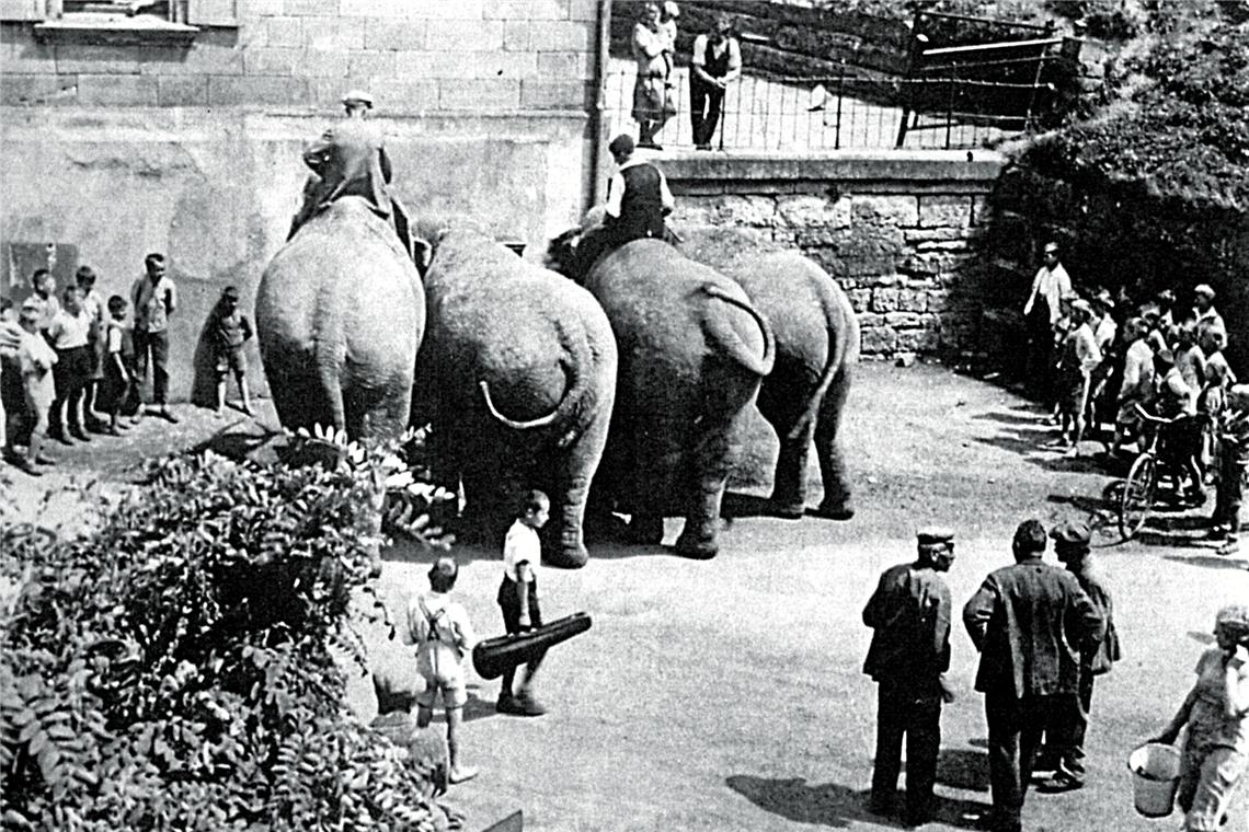 Ein Zirkus gastierte 1928 in der Stadt. Die Elefanten stillten ihren Durst am Brunnen des Eisenbahner-Wohnhauses.