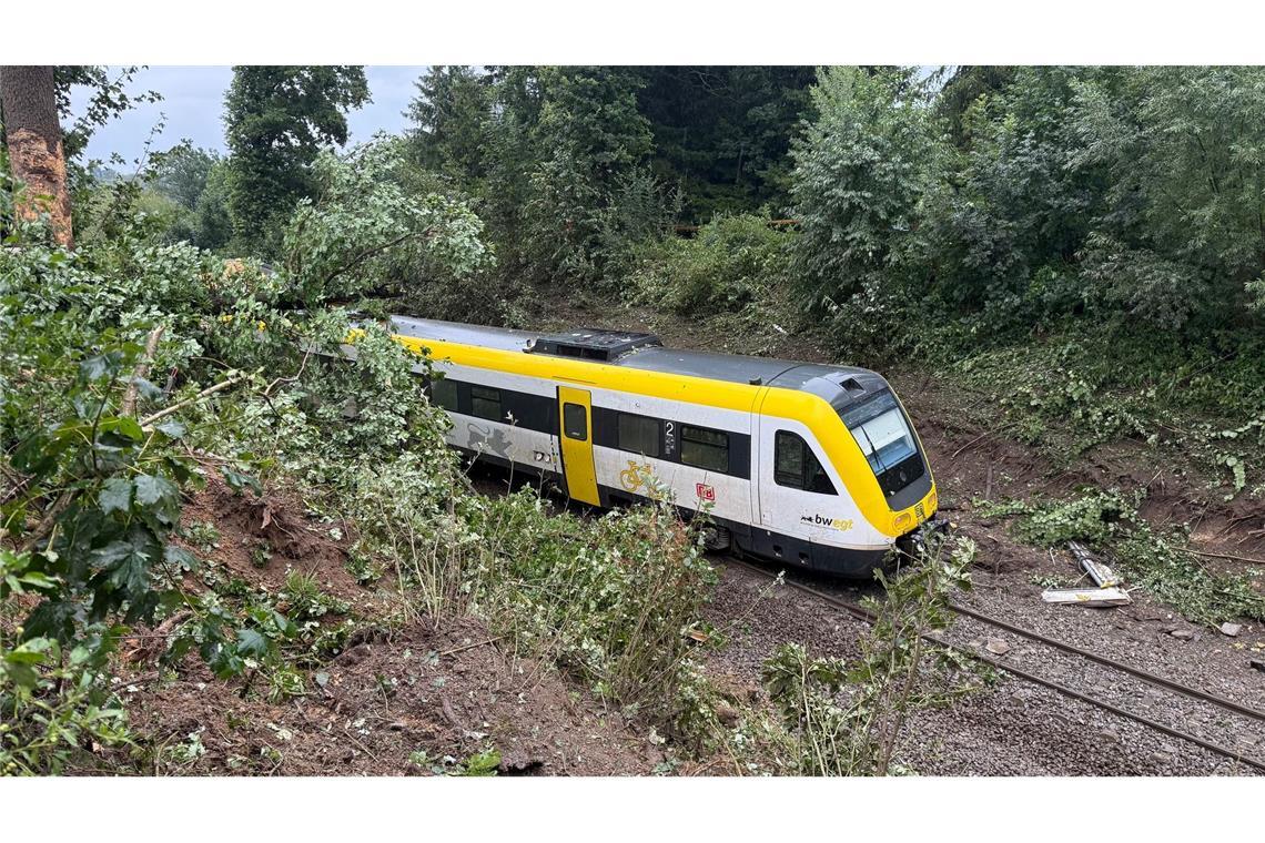 Zugunglück in Baden-Württemberg: Was wir wissen – was nicht Ein Zug mit Fahrgästen an Bord ist in Oberschwaben entgleist.