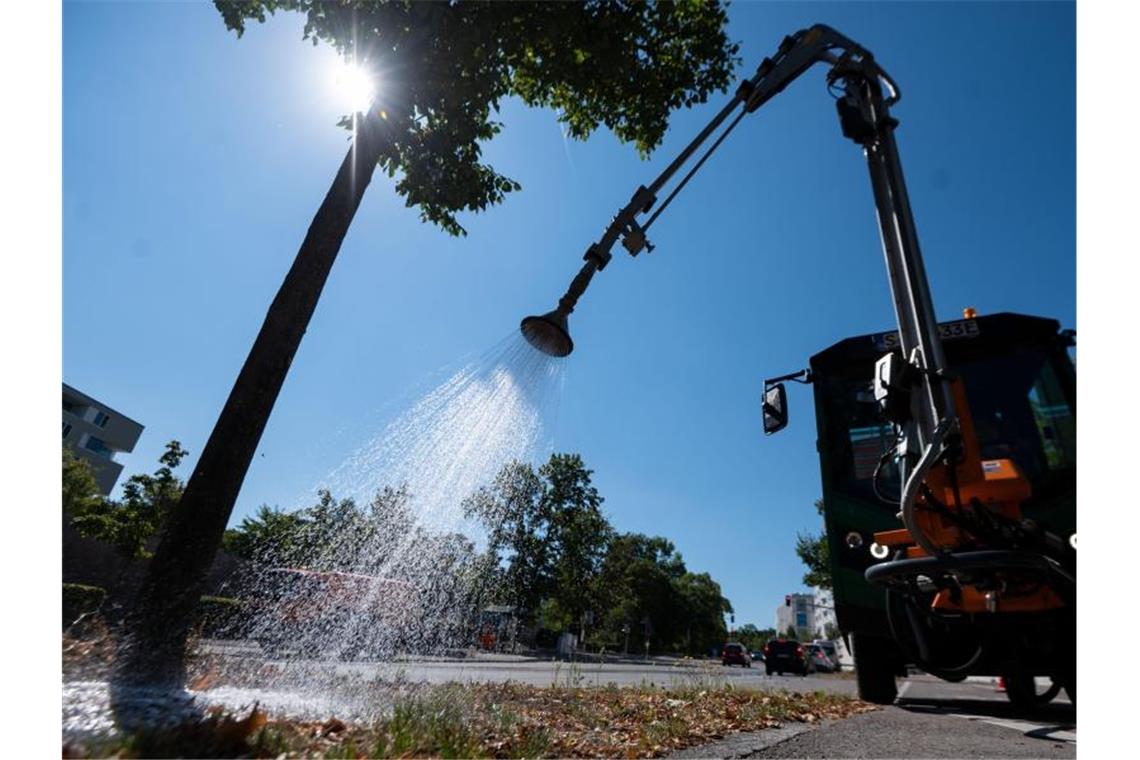 Ein Baum wird mit einem Gießfahrzeug gegossen. Foto: Marijan Murat/dpa