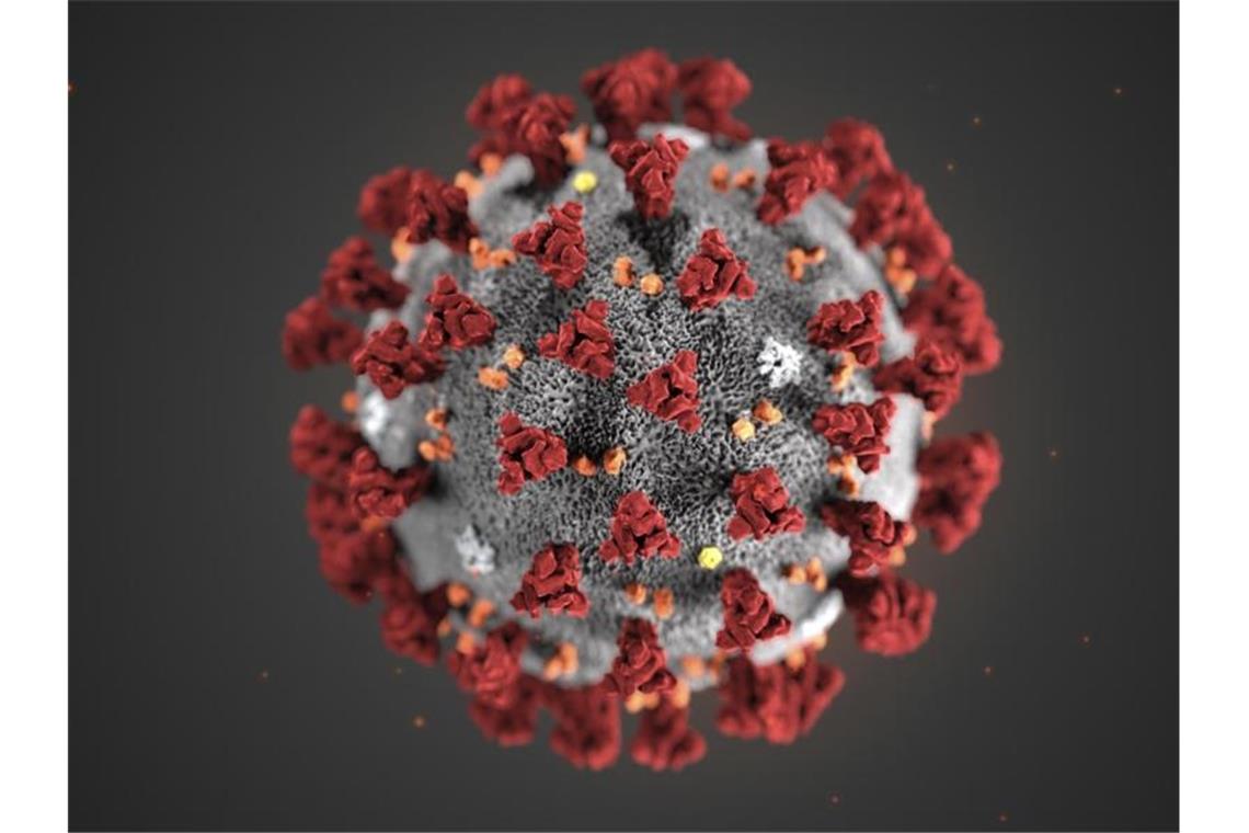 Eine 3D-Darstellung eines Coronavirus. Foto: Uncredited/Centers for Disease Control and Prevention/AP/dpa/Archivbild