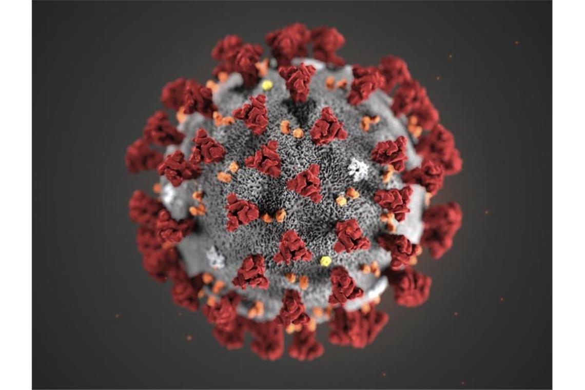 Eine 3D-Darstellung eines Coronavirus. Foto: Uncredited/Centers for Disease Control and Prevention/AP/dpa/Archivbild