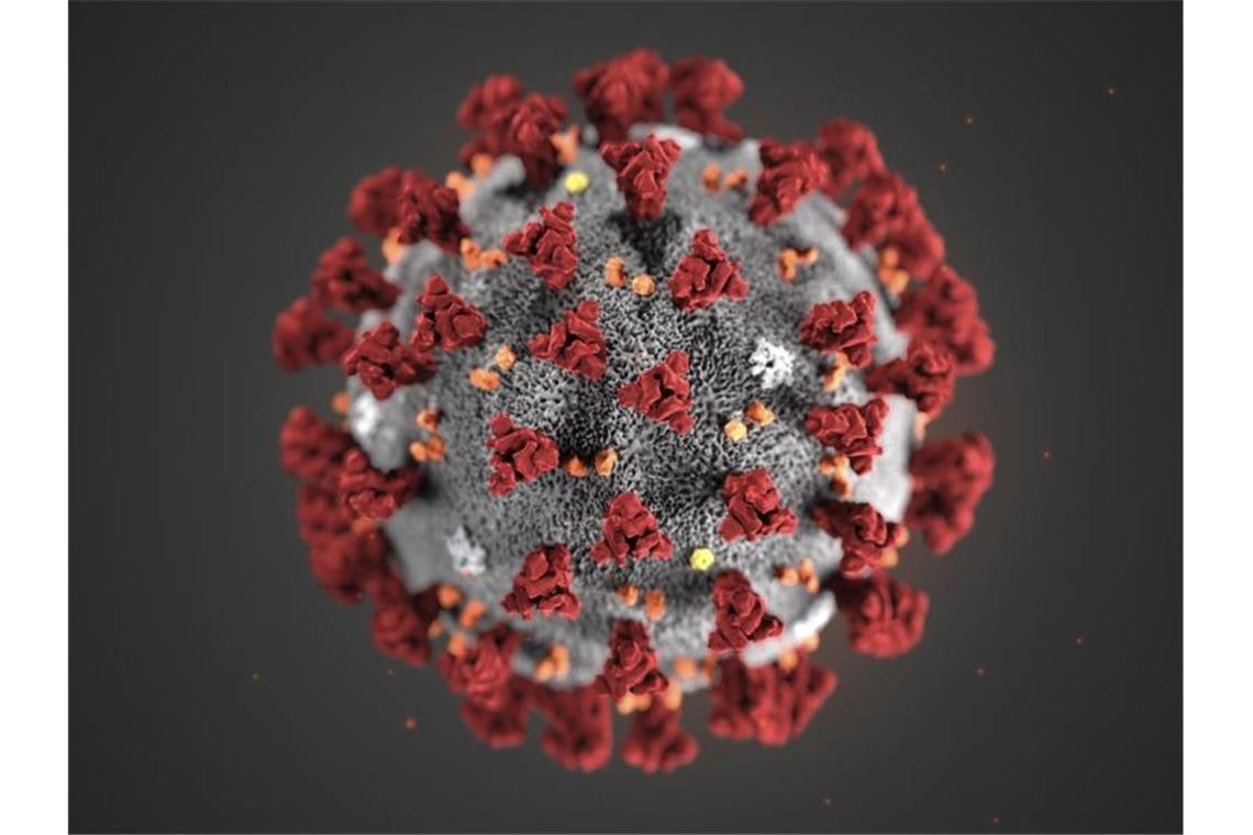 Eine 3D-Darstellung eines Coronavirus. Foto: Uncredited/Centers for Disease Control and Prevention/AP/dpa/Archivbild