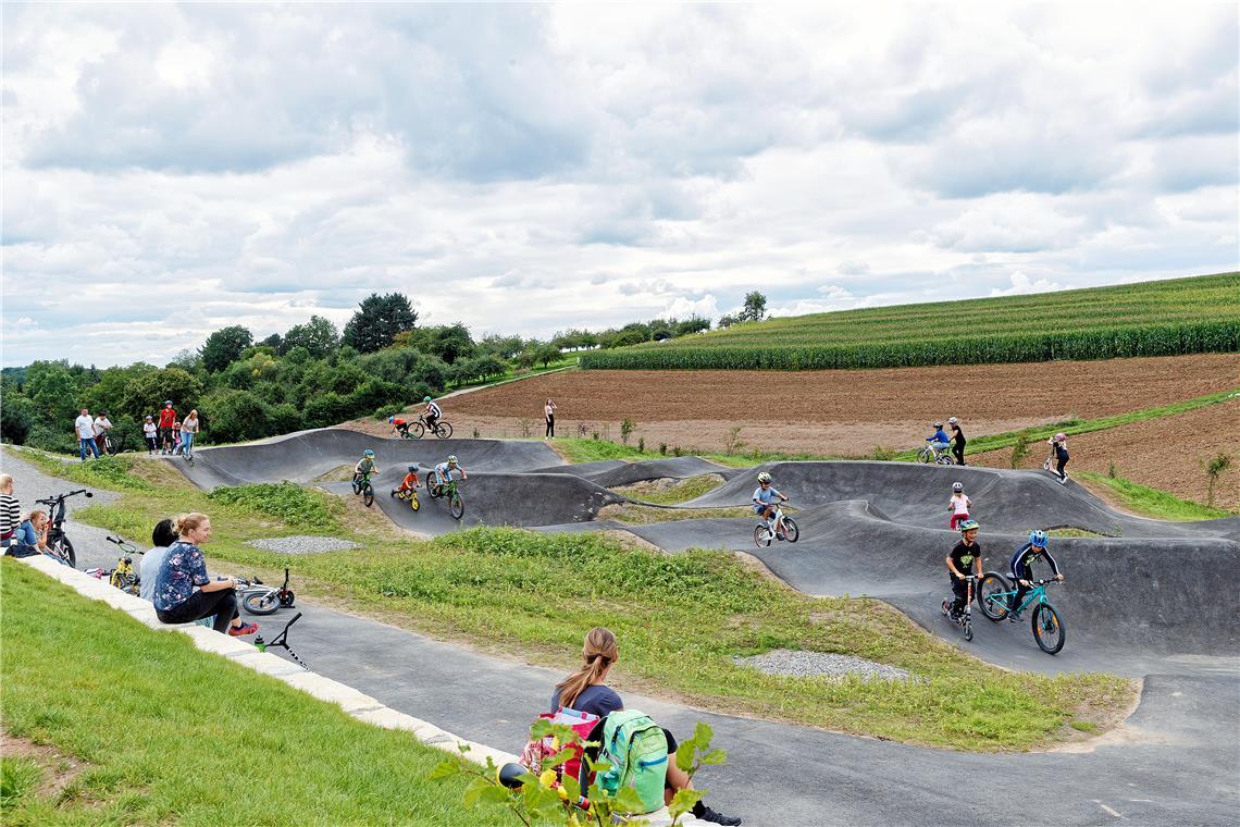 •Eine ähnliche Pumptrackanlage wie in Kirchberg an der Murr könnte auch in Weissach im Tal entstehen. Archivfoto: Jörg Fiedler
