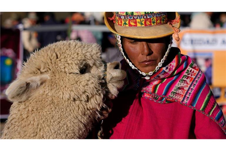 Eine Aymara-Frau und ihr Lama nehmen an der 15. Nationalen Camelid Expo in El Alto, Bolivien, teil.