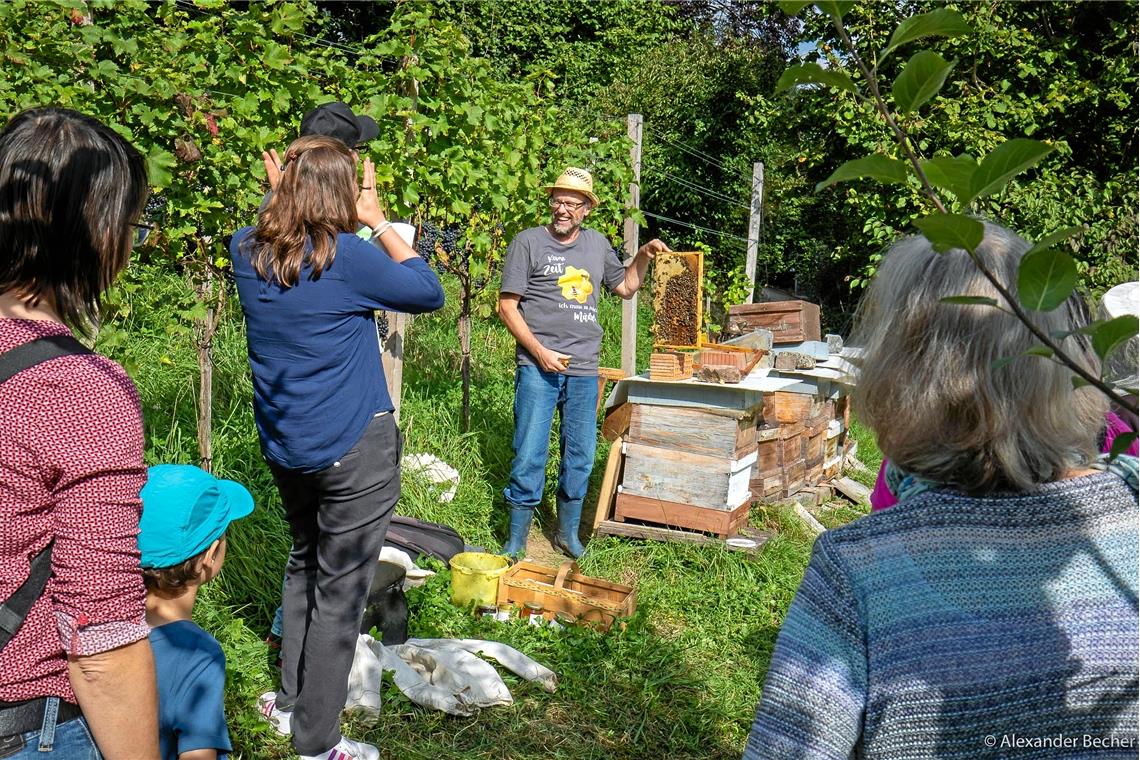 Eine besondere Veranstaltungsvielfalt war in Weissach im Tal geboten. Foto: A. B...