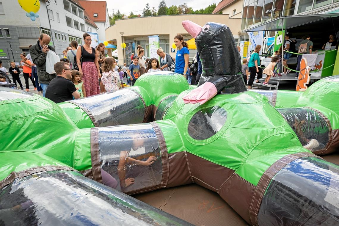 Eine besonders beliebte Attraktion beim Backnanger Kinderfest: das Tunnelsystem des Maulwurfs. In dem Tunnel mussten die Kinder Regenwürmer finden.Fotos: Alexander Becher