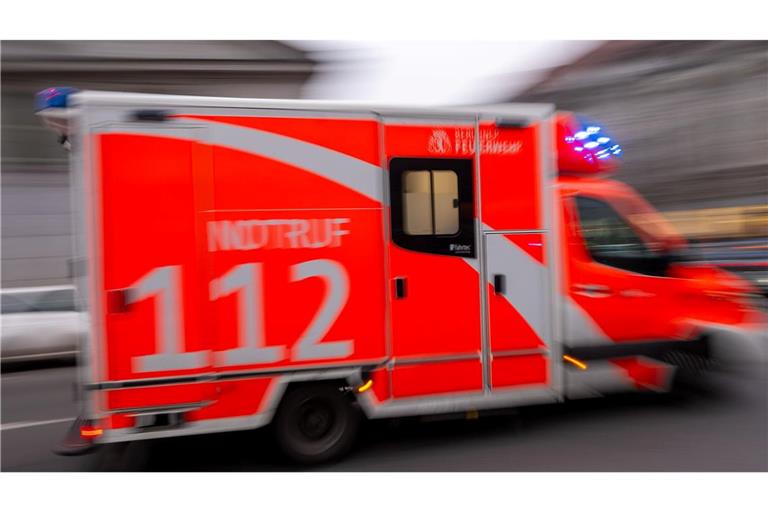 Eine Betreuerin kam in einem Zeltlager in Schleswig-Holstein durch einen umgestürzten Baum ums Leben. (Symbolbild)