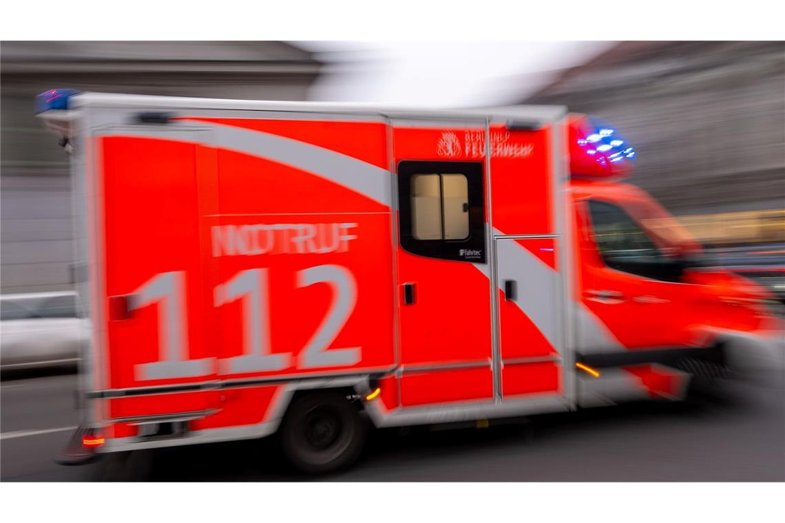Eine Betreuerin kam in einem Zeltlager in Schleswig-Holstein durch einen umgestürzten Baum ums Leben. (Symbolbild)