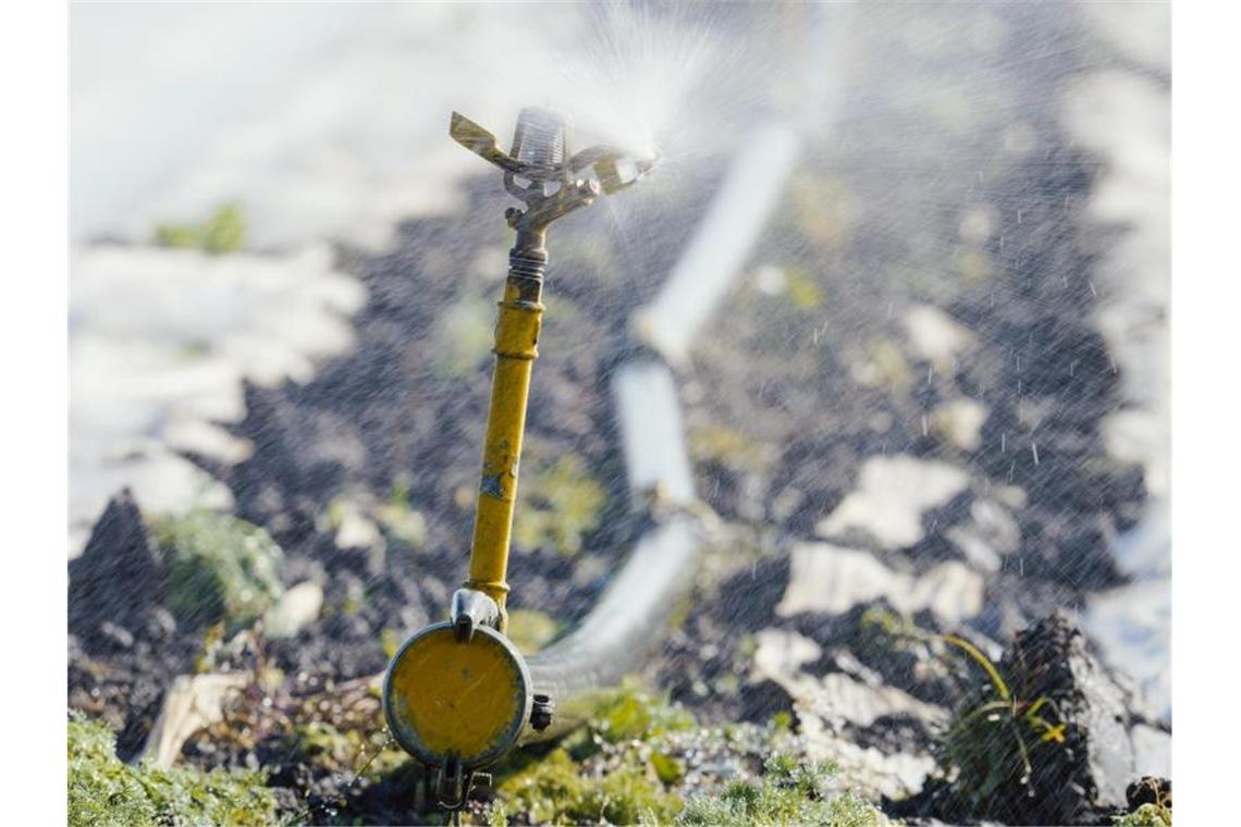 Eine Bewässerungsanlage versprüht auf einem Feld im rheinland-pfälzischen Lambsheim Wasser. Es ist zu trocken in Deutschland. Allerdings soll es bald regnen. Foto: Uwe Anspach/dpa