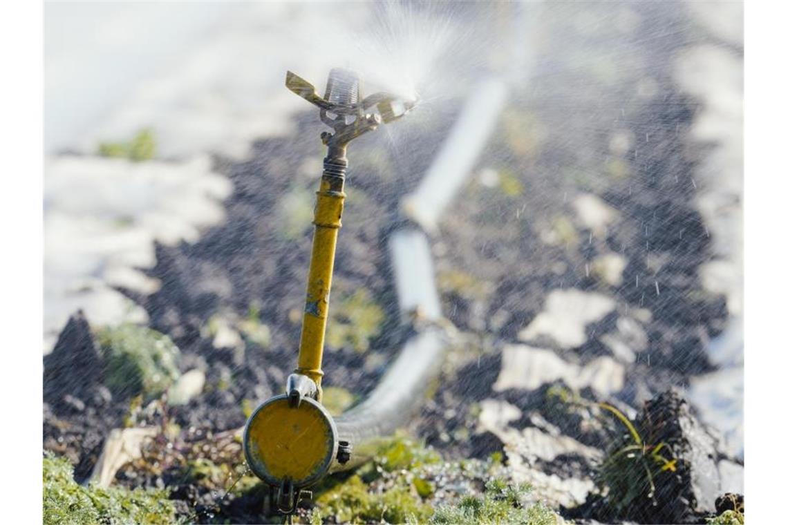Warnungen vor Dürre in Deutschland Eine Bewässerungsanlage versprüht auf einem Feld im rheinland-pfälzischen Lambsheim Wasser. Es ist zu trocken in Deutschland. Allerdings soll es bald regnen. Foto: Uwe Anspach/dpa