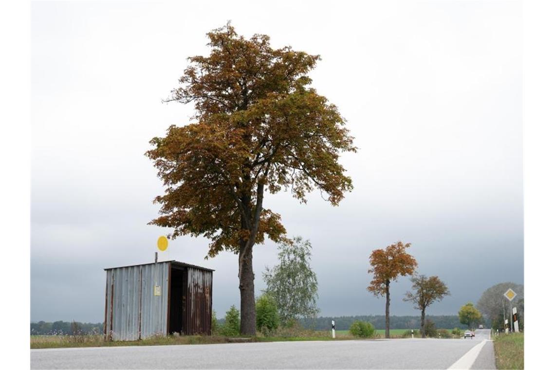 Unzufriedenheit auf dem Land mit Nahverkehrs-Takten Eine Bushaltestelle an der Bundesstraße 115 im sächsischen Dernitz. Foto: Sebastian Kahnert/dpa-Zentralbild/dpa