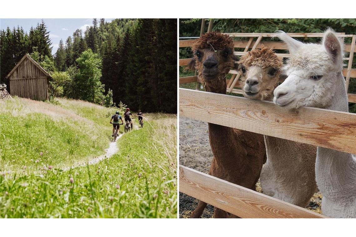 Eine der anstehenden Veranstaltungen: Auf dem Mountain-Bike rund um Baiersbronn.