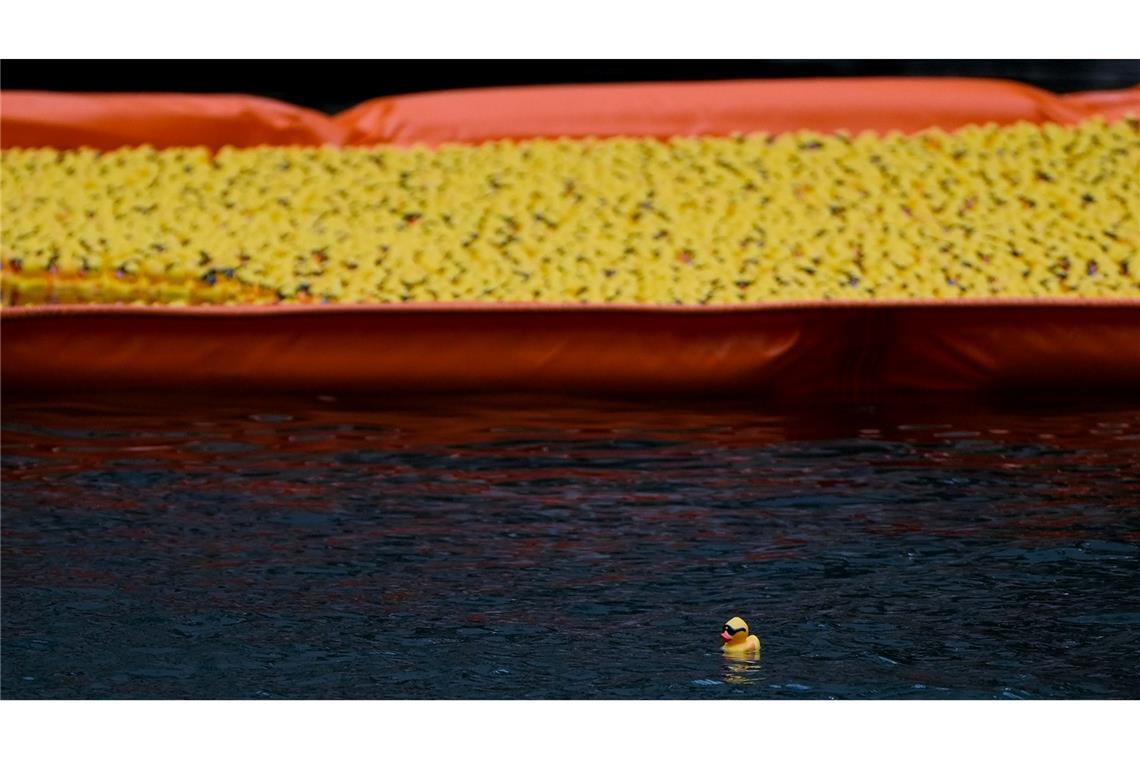 Eine einzelne Ente schwimmt alleine außerhalb der Absperrung, nachdem über 80.000 Gummienten im Rahmen des Chicago Ducky Derby zugunsten von Special Olympics Illinois in den Chicago River geworfen wurden.