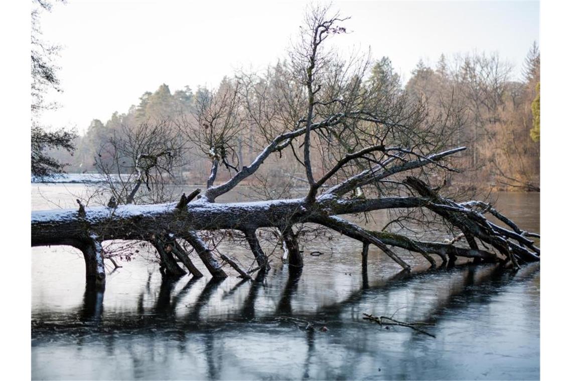 Wechselhaftes Wochenend-Wetter im Südwesten erwartet