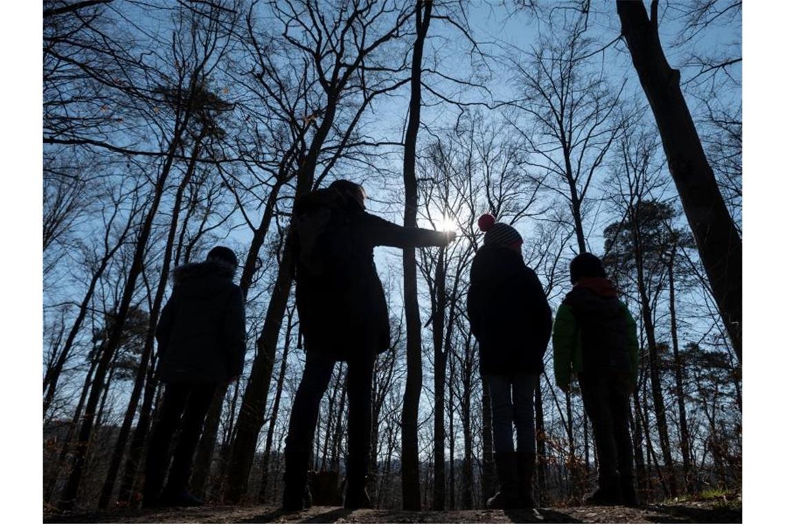 Eine Familie geht in einem Waldstück spazieren. Foto: Marijan Murat/dpa