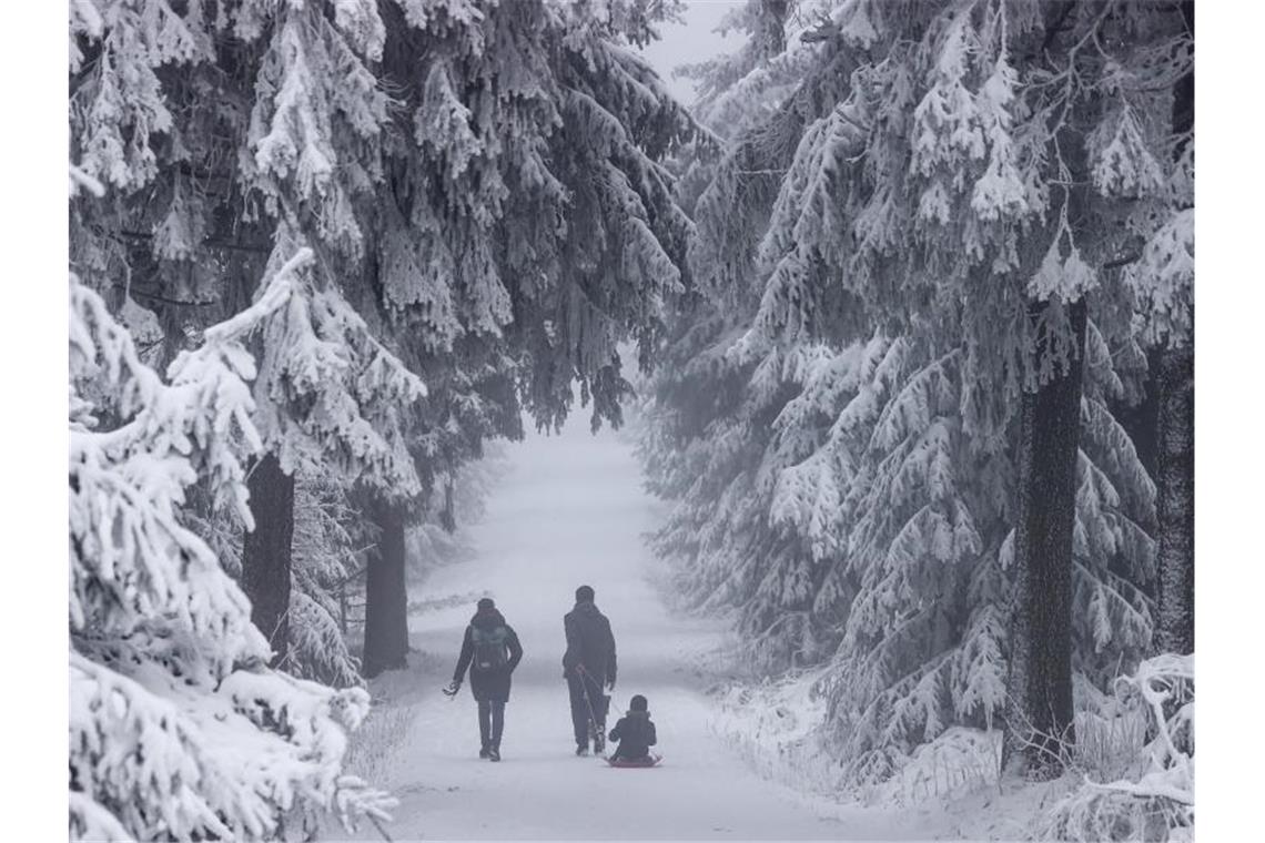 Eine Familie geht mit einem Schlitten durch einen verschneiten Wald. Foto: Jan Woitas/dpa-Zentralbild/dpa/Symbolbild