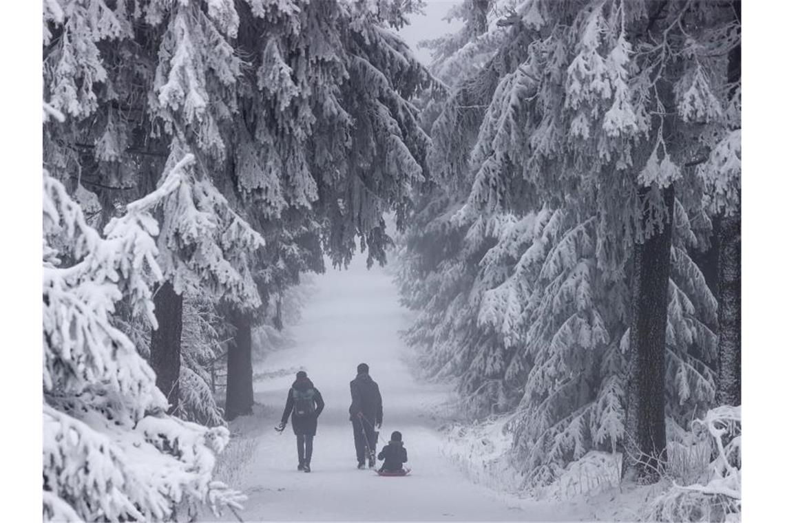 Schnee und Glätte zum Jahresbeginn im Südwesten Eine Familie geht mit einem Schlitten durch einen verschneiten Wald. Foto: Jan Woitas/dpa-Zentralbild/dpa/Symbolbild