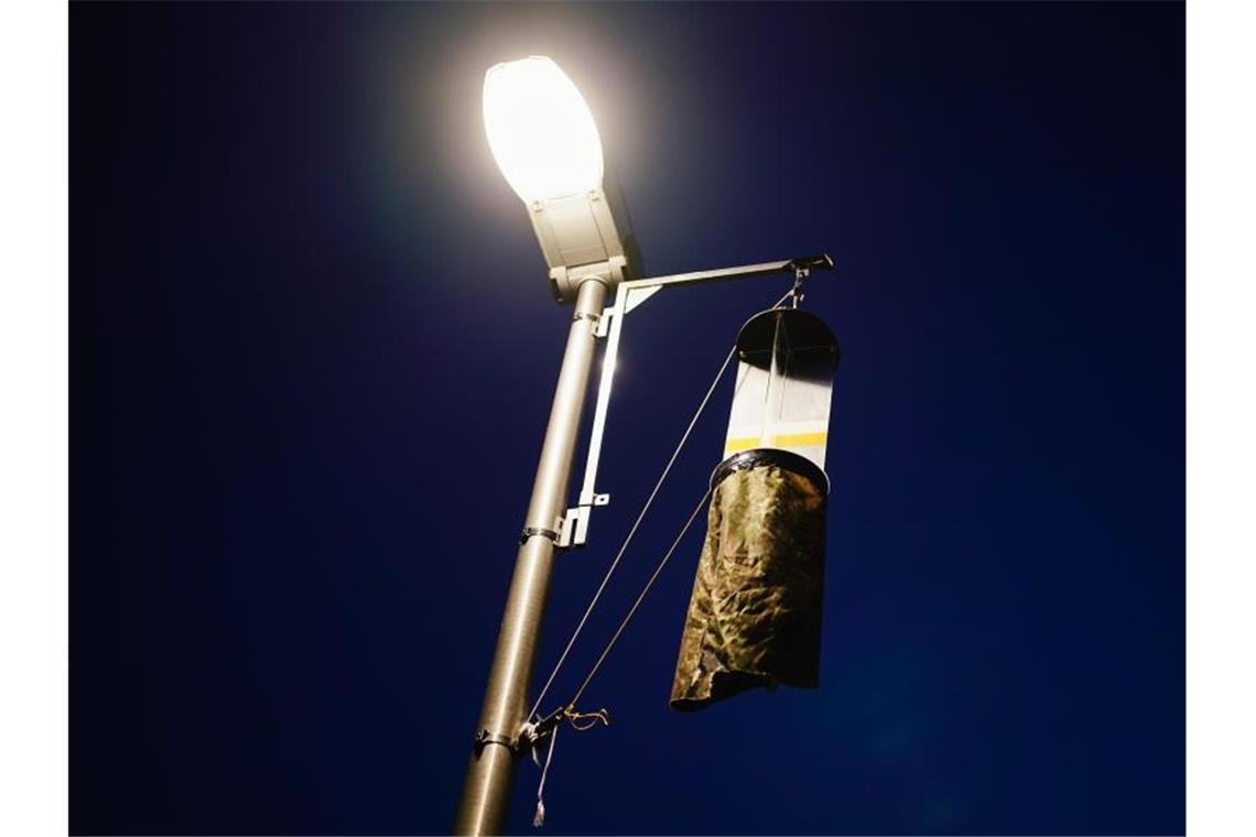 Suche nach insektenfreundlicher Beleuchtung Eine Flugfensterfalle zum Fang von Insekten hängt an einem Laternenmast. Foto: Uwe Anspach/dpa