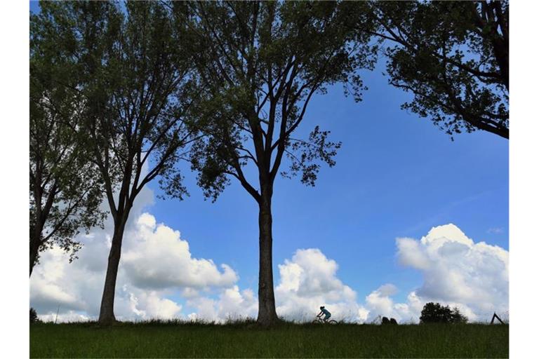 Eine Frau fährt auf ihrem Fahrrad vor dem teilweise mit Wolken überzogenen Himmel. Foto: Karl-Josef Hildenbrand/dpa/Symbolbild