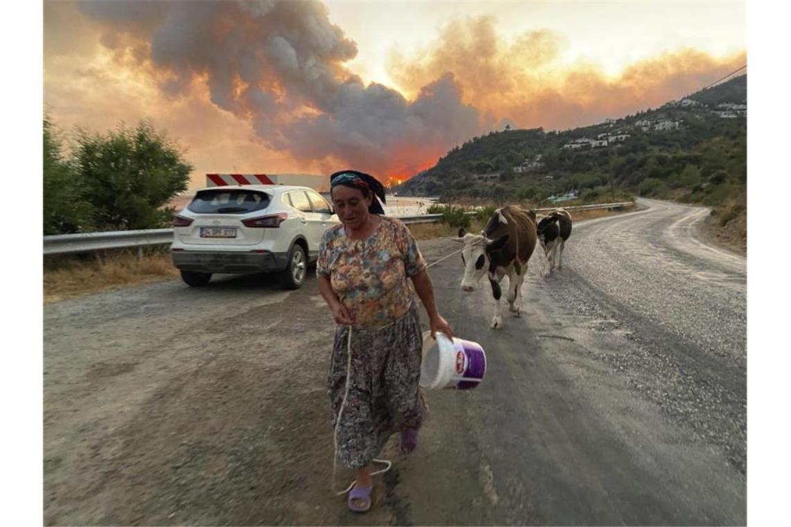 Eine Frau flieht mit ihren Tieren im türkischen Bodrum vor einem sich ausbreitenden Waldbrand. Foto: Mehmet Guzel/AP/dpa