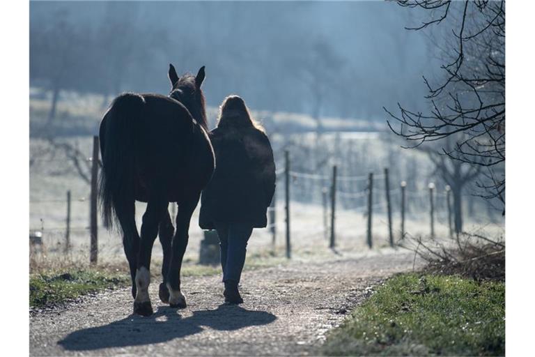 Eine Frau geht mit einem Pferd am Morgen spazieren. Foto: Sebastian Gollnow/dpa/Archivbild
