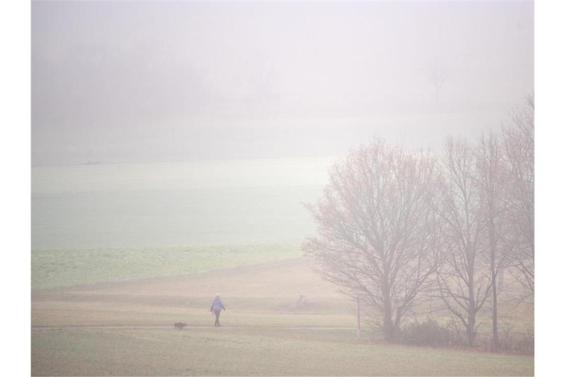 Eine Frau geht mit ihrem Hund im Nebel spazieren. Foto: Marijan Murat/dpa/Symbolbild