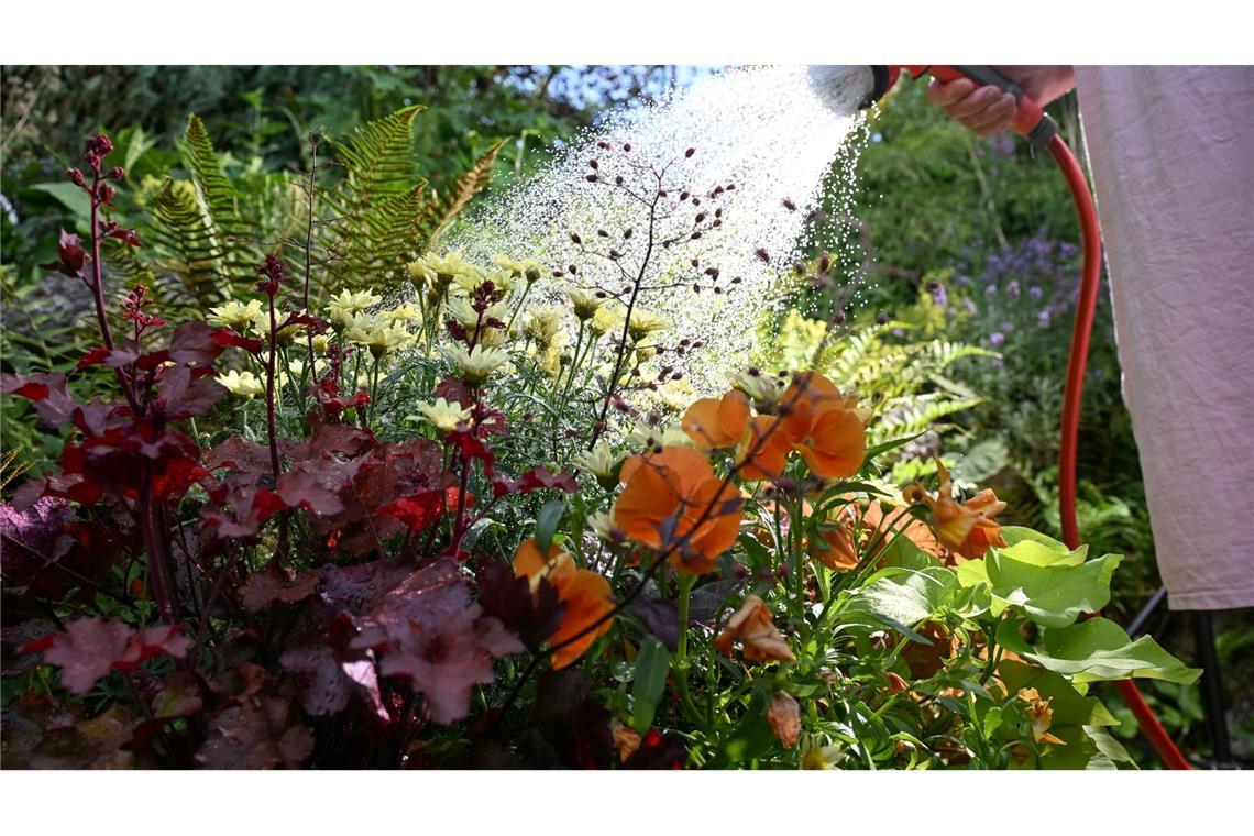 Eine Frau gießt in Stuttgart in einem privaten Garten in den Morgenstunden Blumen.