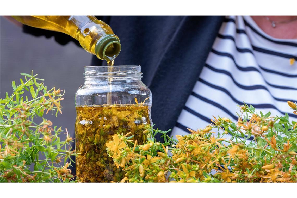 Eine Frau hat Blüten des Johanniskrauts gezupft und gießt sie  dann mit Olivenöl auf. Der Aufguss wird dann acht Wochen stehen und reifen. Das im Johanniskrautöl enthaltene Enzym Hyperforin beschleunigt die Bildung neuer Blutgefäße und unterstützt die Wundheilung.