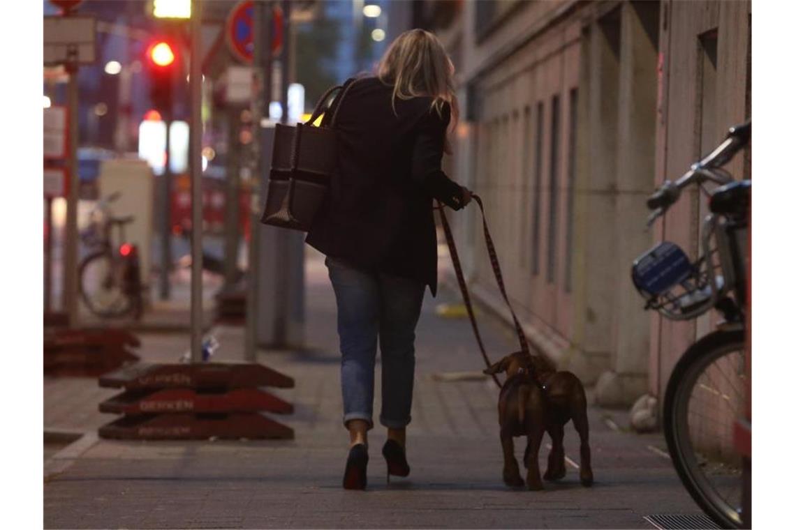 Eine Frau in Düsseldorf geht am Abend mit ihren Hunden spazieren. Foto: David Young/dpa