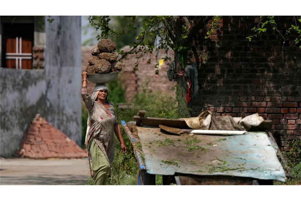 Eine Frau in Indien trägt Kuhmist, der meist als Bau- oder Brennmaterial verwendet wird, in einem Korb auf dem Kopf.