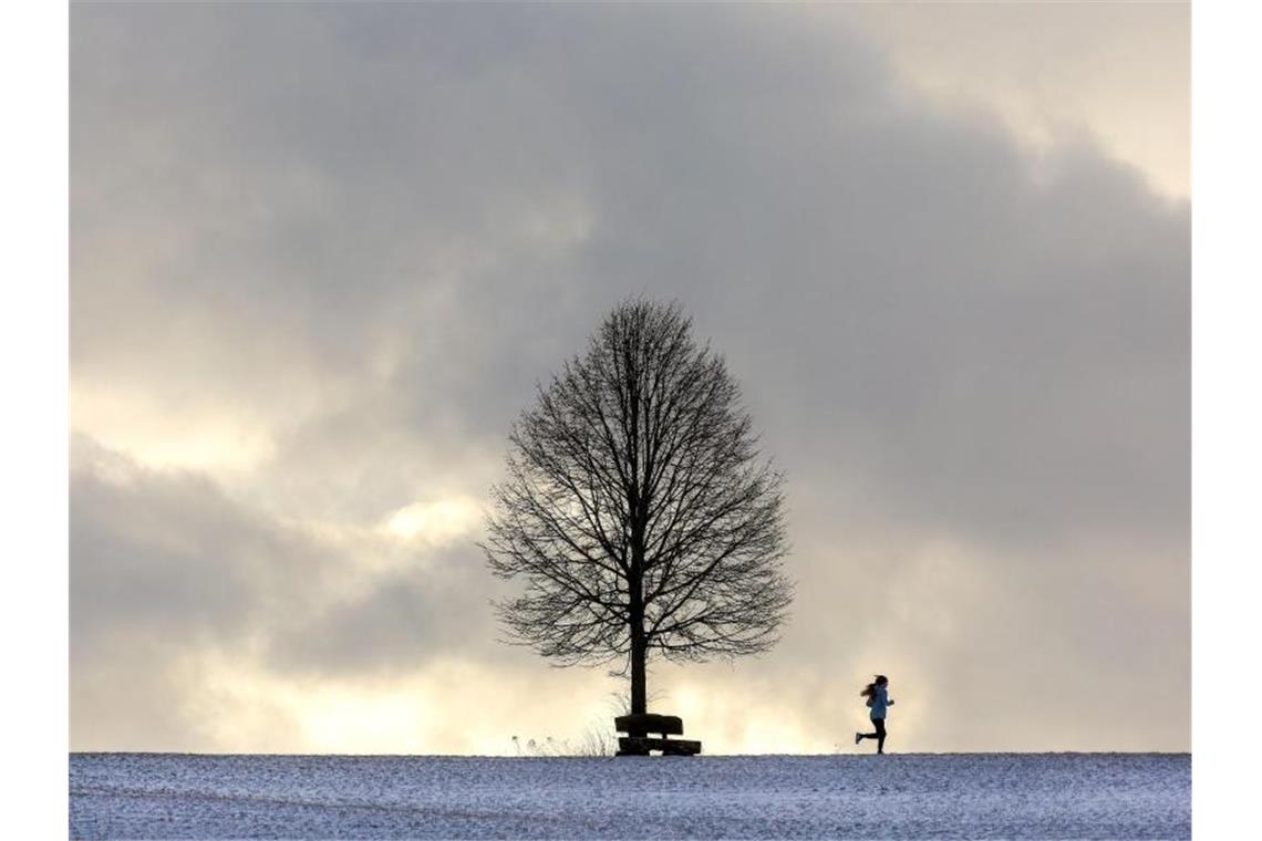 Fehlender Schnee macht Skiliftbetreibern auf der Alb Sorgen Eine Frau läuft auf der Schwäbischen Alb an einem Baum vorbei. Foto: Thomas Warnack/dpa/Archivbild