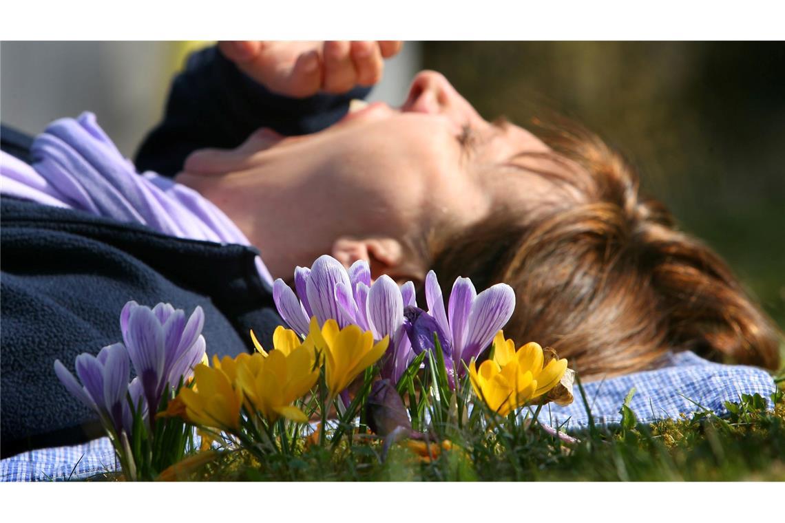 Eine Frau liegt auf einer mit Krokussen bewachsenen Wiese und gähnt. (Archivbild)