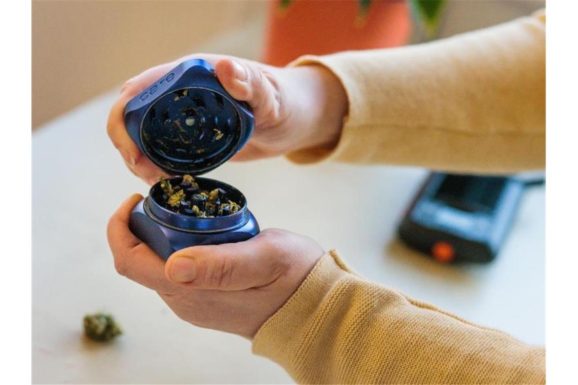 Sucht-Experten warnen vor Risiken von Cannabis Eine Frau öffnet einen Grinder, in dem medizinisches Cannabis zerkleinert wurde. Die Ampel-Regierung will eine kontrollierte Abgabe von Cannabis an Erwachsene auch zu Genusszwecken erlauben. Foto: Philipp von Ditfurth/dpa