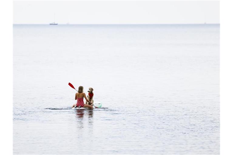 Eine Frau paddelt mit ihrem Hund auf einem Windsurfbrett auf der Ostsee vor der Insel Fehmarn. Foto: Frank Molter/dpa