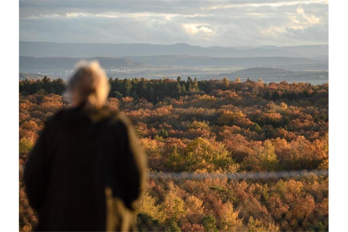 Tourismus auf der Alb bricht ein: Hoffnung durch Gästekarte Eine Frau schaut vom Schönbuchturm über den Schönbuch Richtung Schwäbische Alb. Foto: Sebastian Gollnow/dpa/Archivbild