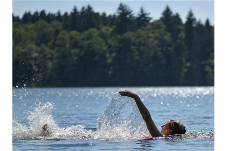 Eine Frau schwimmt im Trepliner See in Brandenburg. Foto: Patrick Pleul