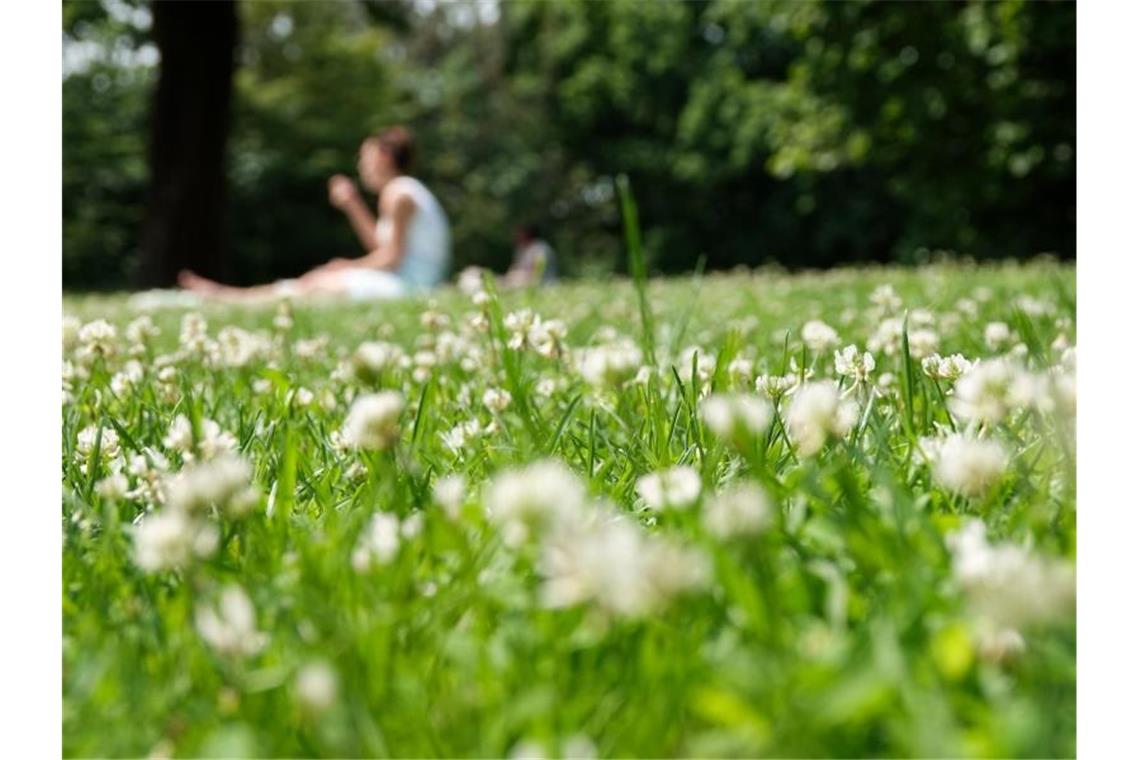 Eine Frau sitzt bei strahlendem Sonnenschein auf einer Wiese mit weißen Blumen. Foto: Jonas Klüter/dpa/Archivbild