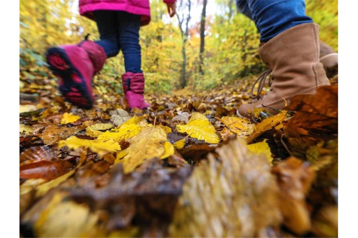 Eine Frau und ein Kind gehen über einen mit Herbstlaub bedeckten Waldweg. Foto: Thomas Warnack/dpa/Archivbild