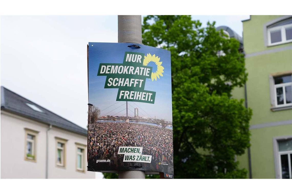 Grünen-Politikerin beim Aufhängen von Wahlplakaten attackiert