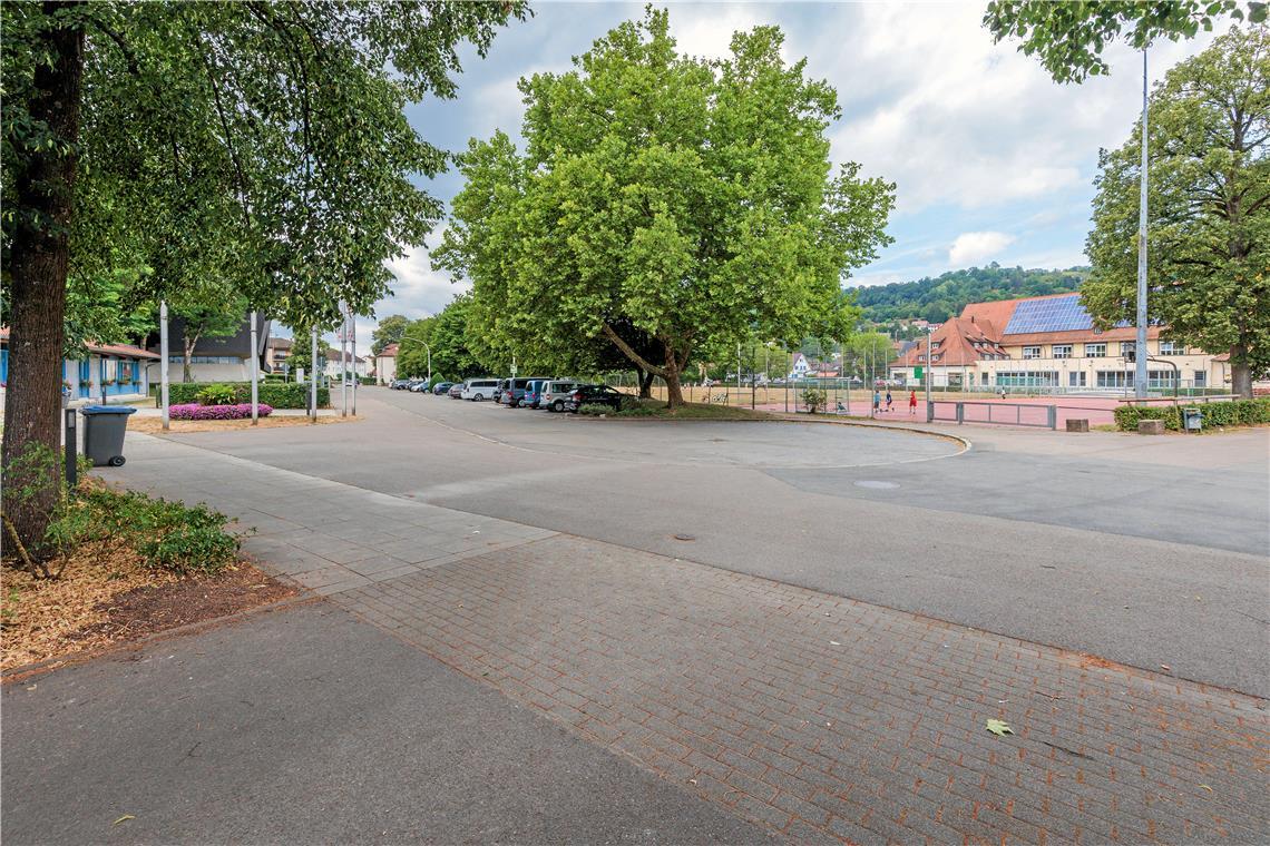Eine Gruppe Jugendlicher und junger Erwachsener nutzt das Areal, auf dem sich die Festhalle (links), der Tartanplatz und die Stadthalle (rechts) befinden, verstärkt als abendlichen Treffpunkt. Für die Anwohner ist das zu später Stunde zu einer Belastung geworden. Foto: Stefan Bossow