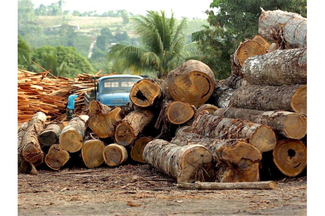 Streit über geplantes Lieferkettengesetz Eine Holzfabrik in Brasilien. Bundesumweltministerin Schulze hat sich für ein Lieferkettengesetz ausgesprochen, das deutsche Unternehmen zur Einhaltung von Menschenrechts- und Umweltstandards auch bei Zulieferfirmen im Ausland verpflichtet. Foto: epa efe Marcelo Sayao/EFE/dpa