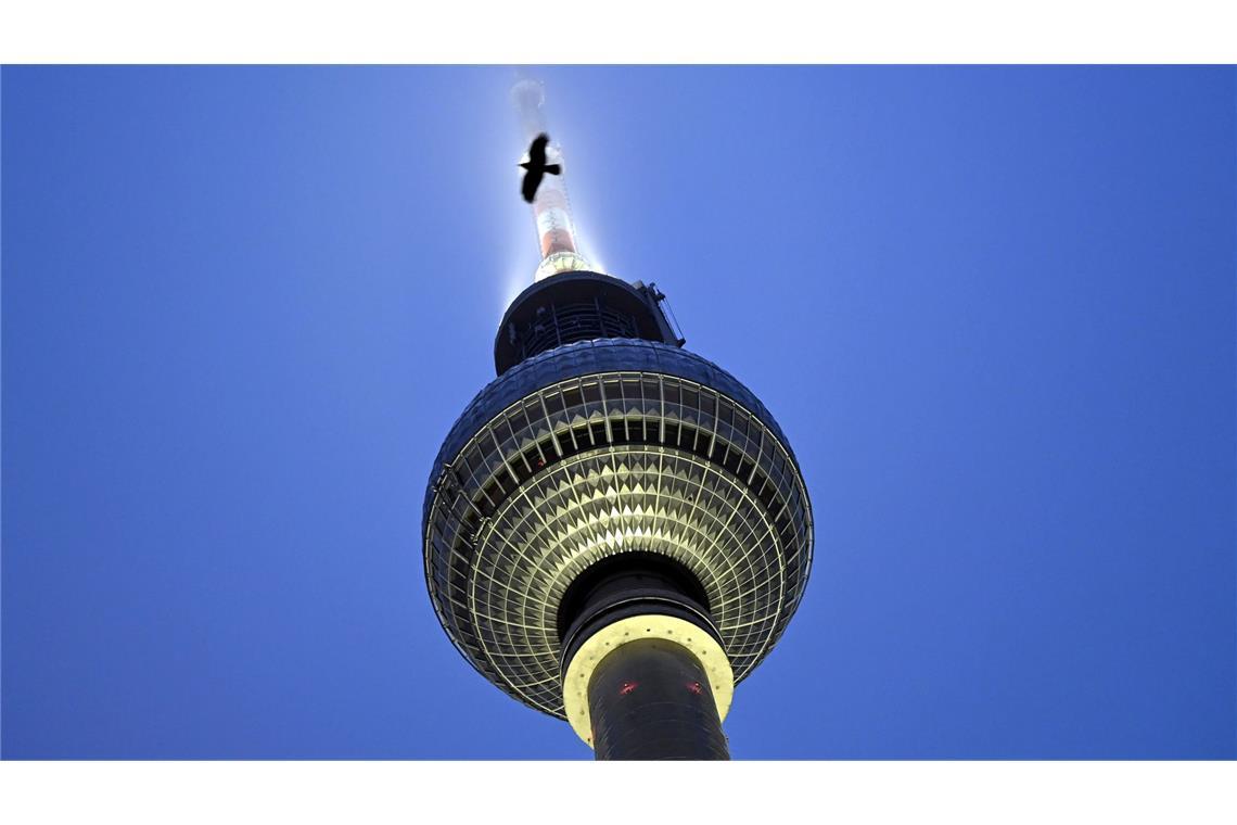 Eine Krähe fliegt vor dem Berliner Fernsehturm, dessen Spitze angeleuchtet ist und teils im Nebel versinkt.
