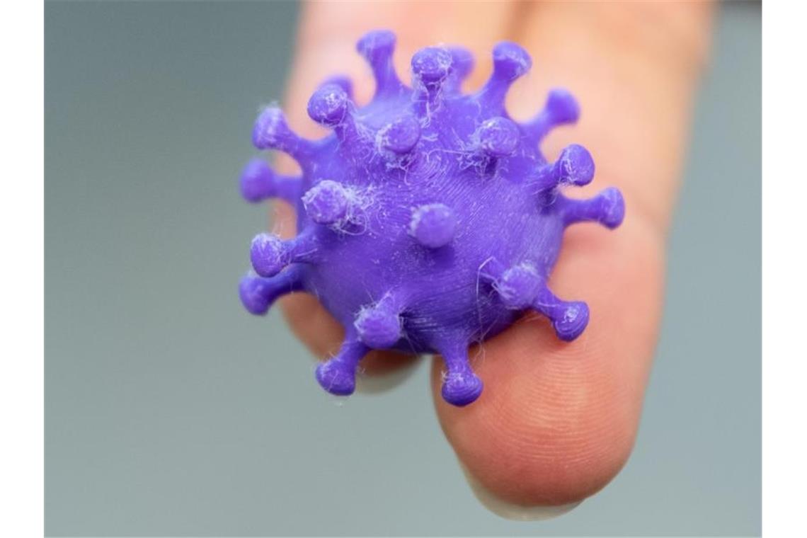 Eine Medizinisch-technische Assistentin hält auf zwei Fingern einen 3D Druck von einem Coronavirus. Foto: Robert Michael/dpa-Zentralbild/dpa/Archivbild